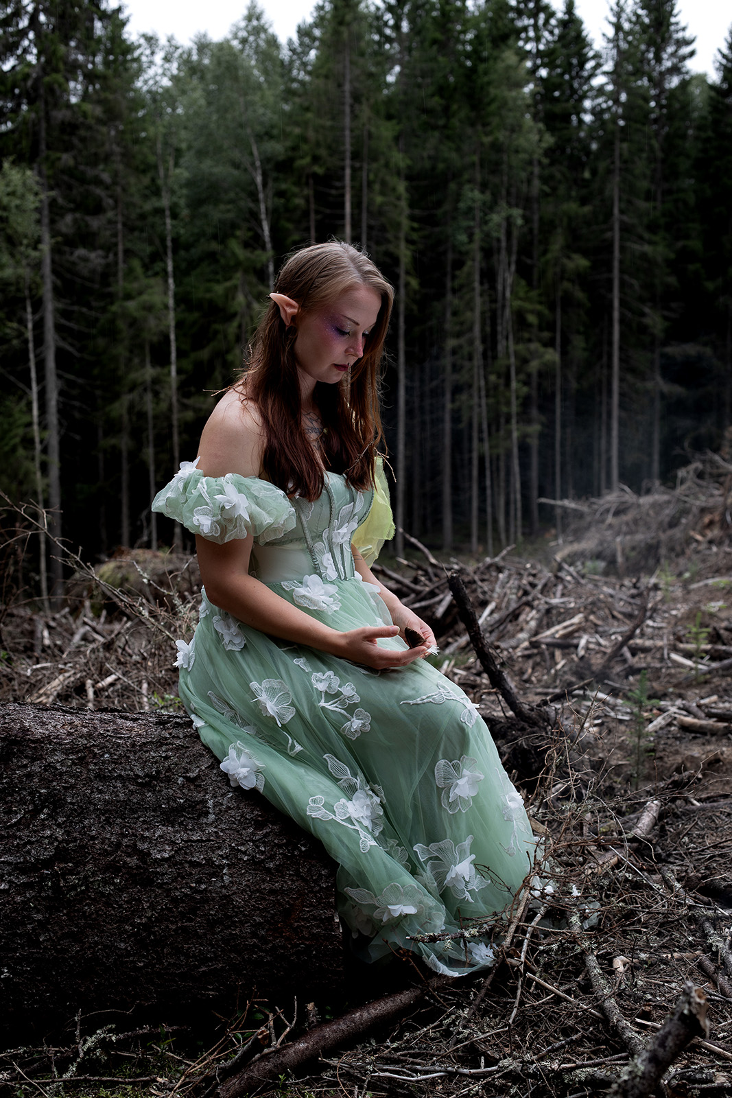 A fairy sits on a log in cut down forest, looking down at her hands sad, she has a small feather of a bird in her hands.